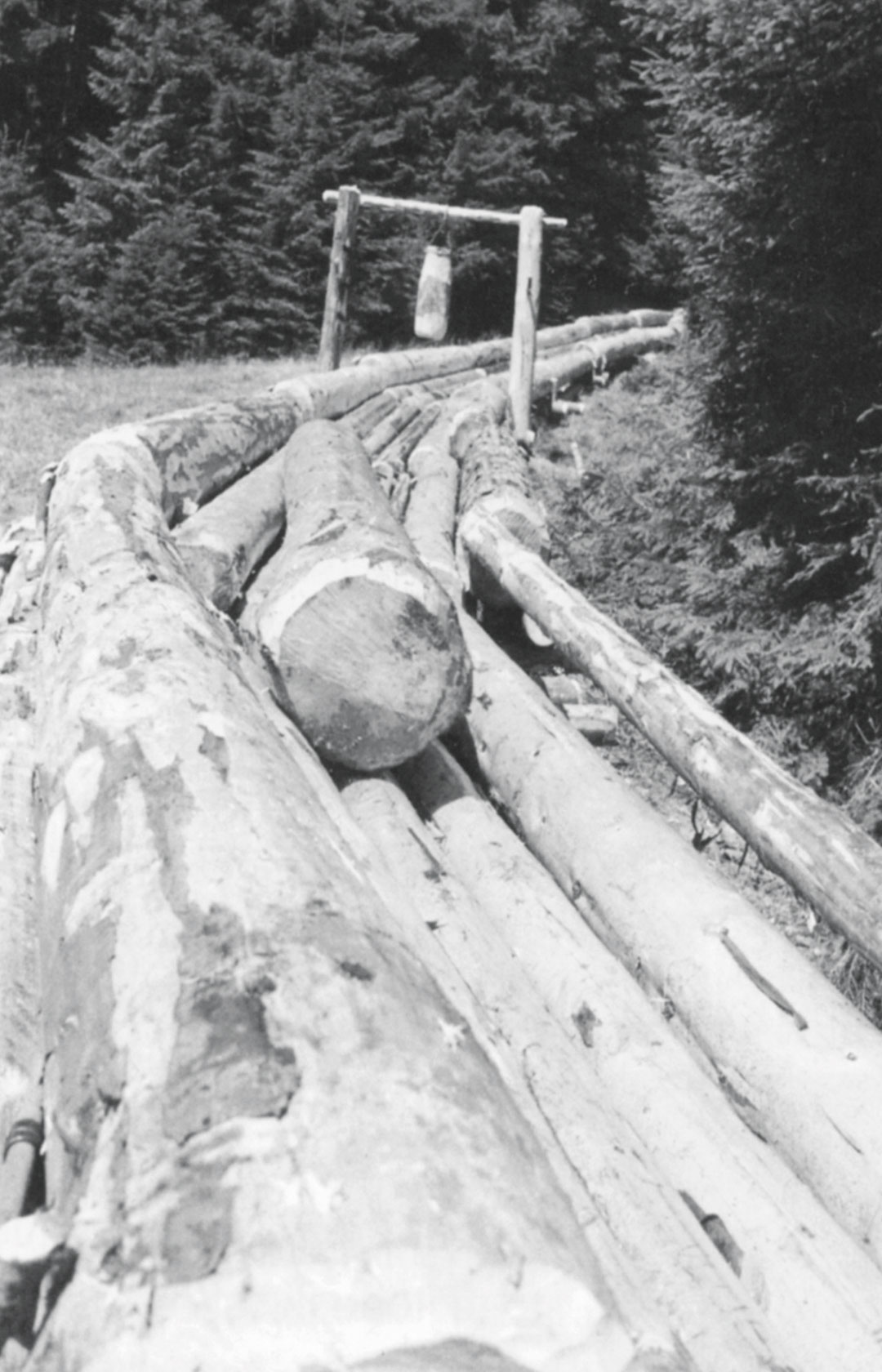 legno-antico-lelite-14